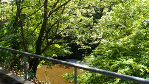 e0025919_7293887.jpg