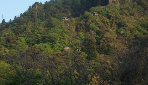 b0309623_05551279.jpg