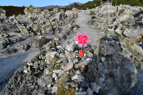 f0362524_12425287.jpg