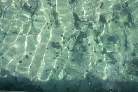 f0362524_18082986.jpg