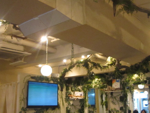 d0162225_21411895.jpg