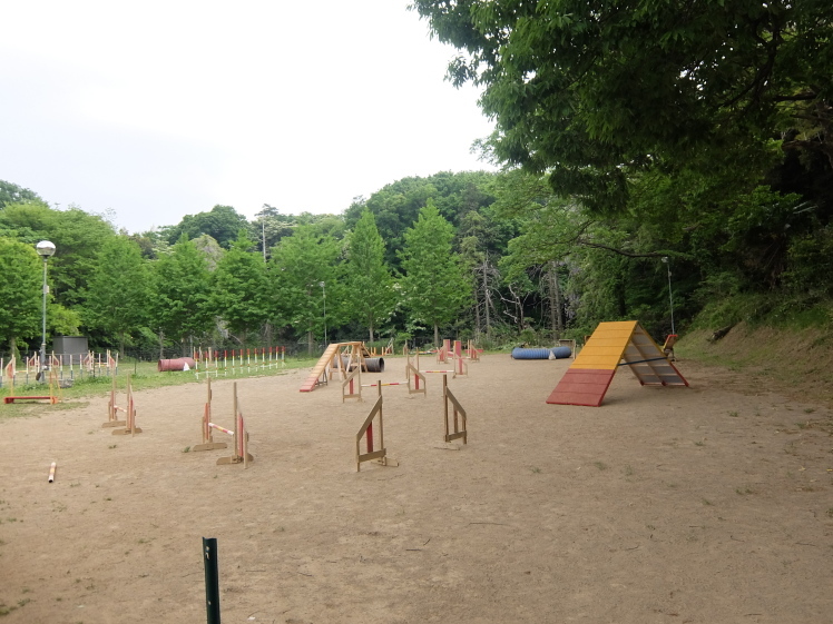 f0363628_19514558.jpg