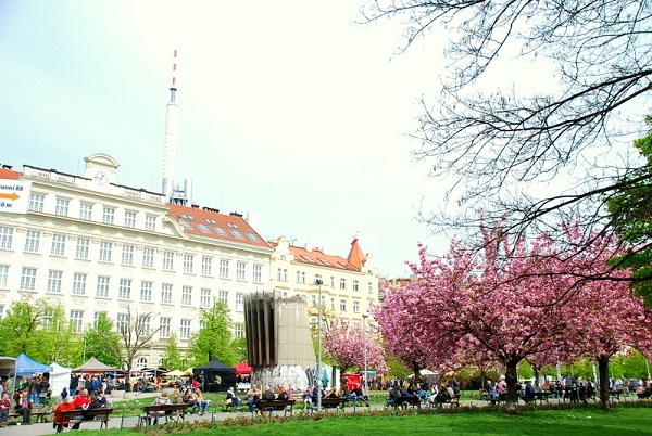 c0067529_19423809.jpg