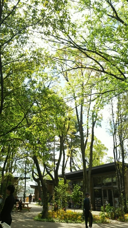 e0305834_23135213.jpg