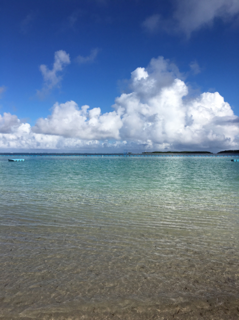 f0139134_23521156.jpg
