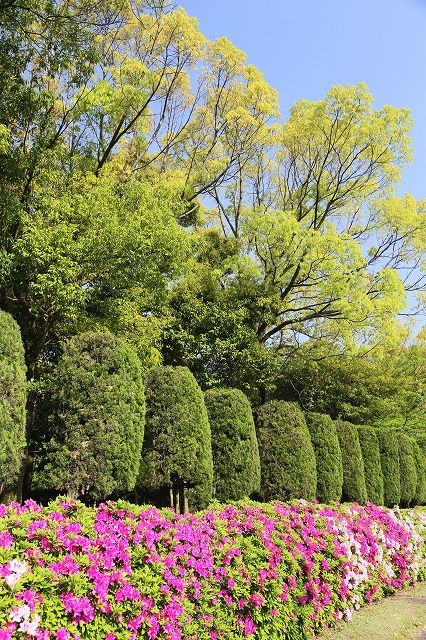 a0242438_22033421.jpg