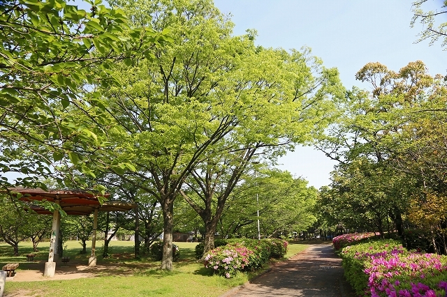 a0242438_22043268.jpg