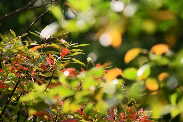 a0242438_22043906.jpg