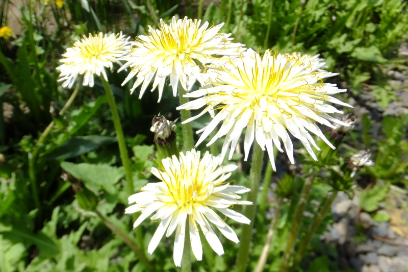 a0284340_19264229.jpg