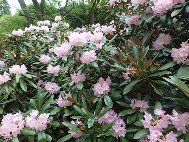 f0334143_177026.jpg