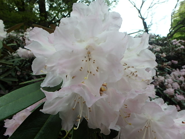 f0334143_1772486.jpg