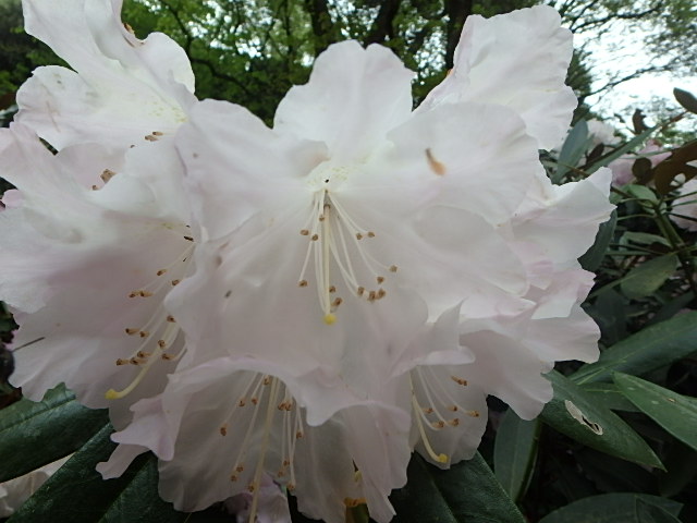 f0334143_1773099.jpg