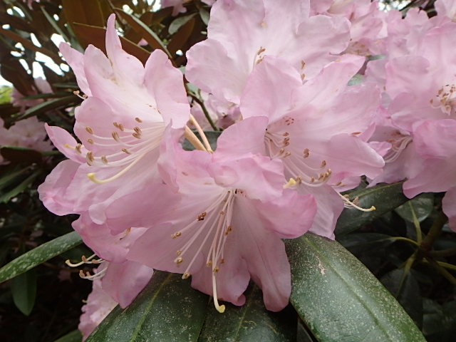f0334143_177735.jpg