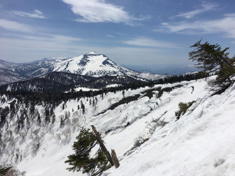 e0329049_21303146.jpg