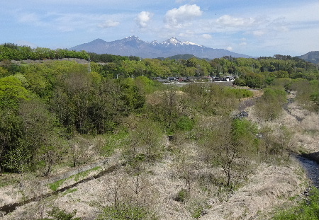 e0172950_19335099.jpg