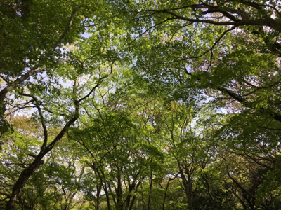 f0226152_16204487.jpg