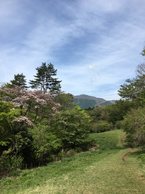 f0226152_16204501.jpg