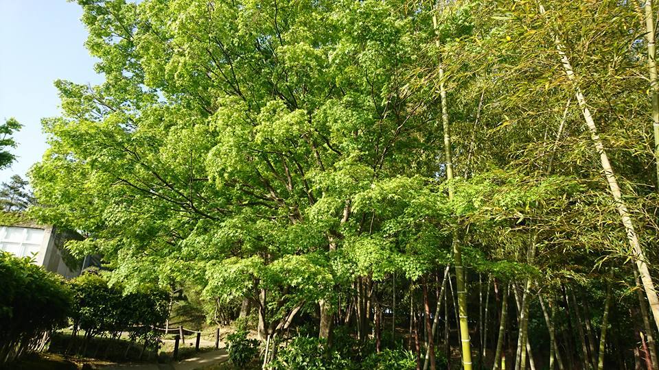 f0037753_20321849.jpg