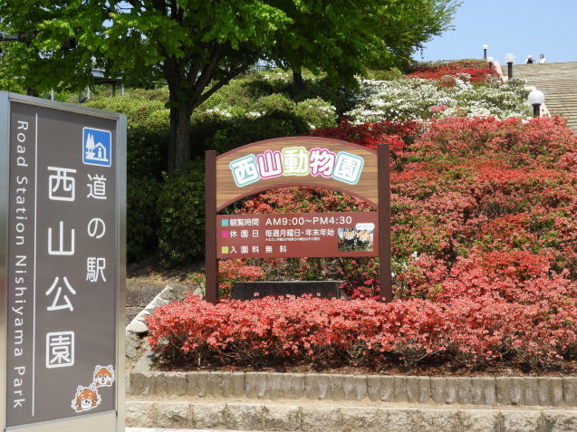d0154954_11193480.jpg