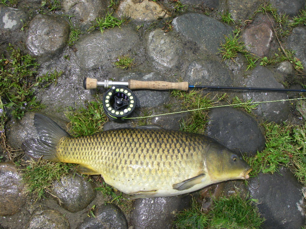 a0130057_21422871.jpg