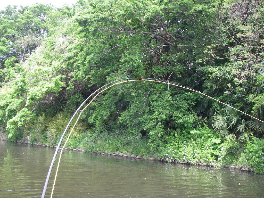 a0130057_21514273.jpg