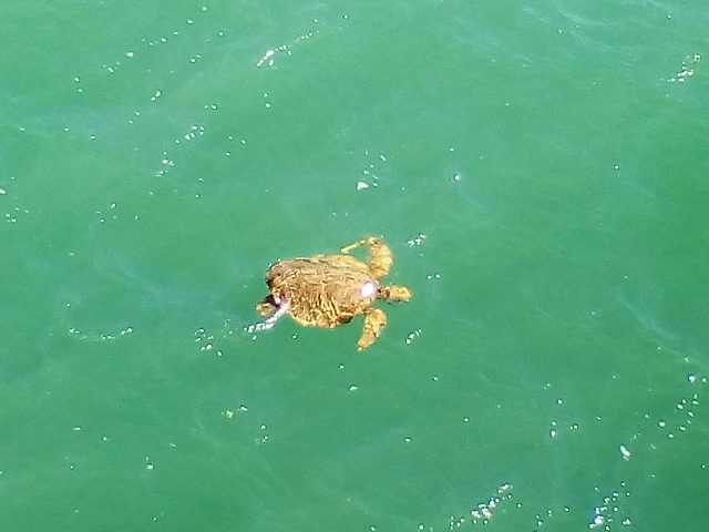 c0351060_21281542.jpg