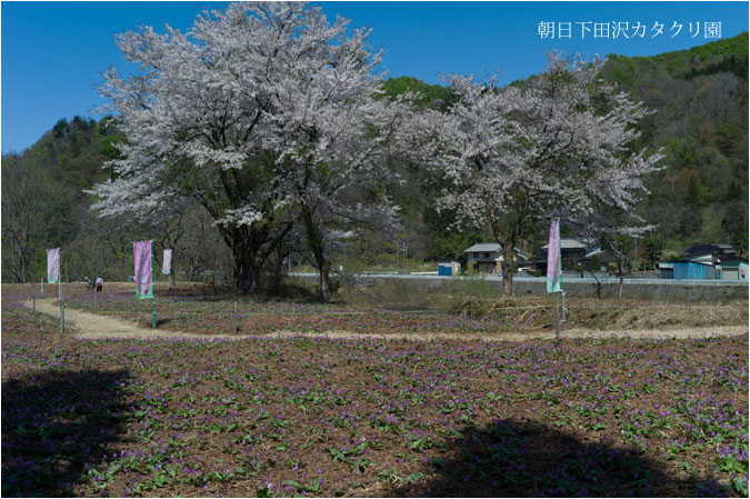 c0061761_535186.jpg