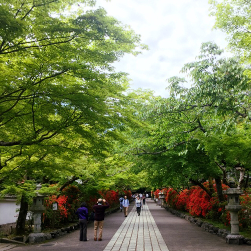 e0038665_11312850.jpg