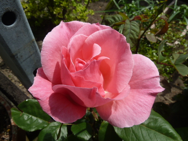 e0278968_21322139.jpg
