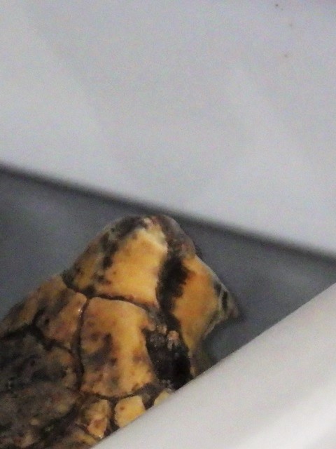 c0105569_01553710.jpg
