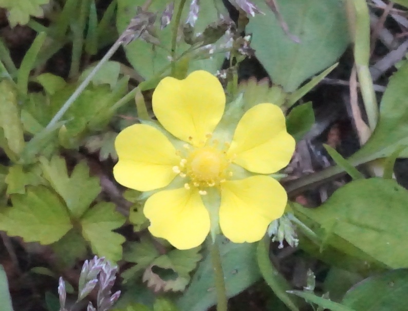 b0057679_08060824.jpg