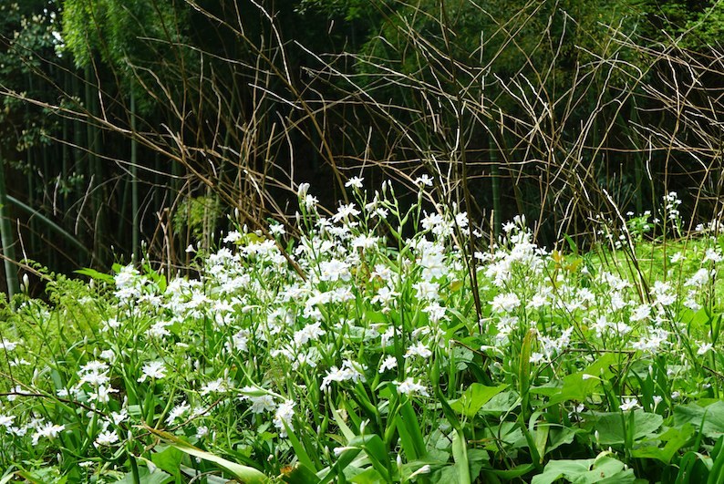 b0057679_08103577.jpg