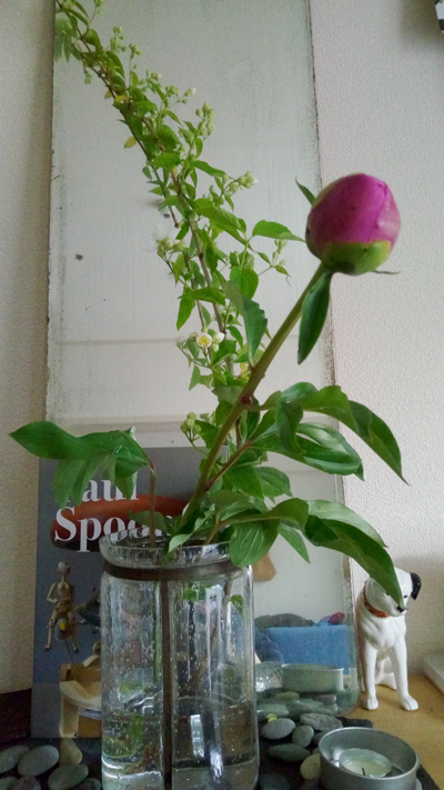 e0110281_17461750.jpg