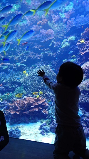 e0223684_20443187.jpg