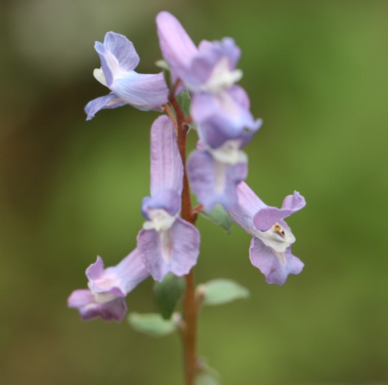 c0144185_21583590.jpg