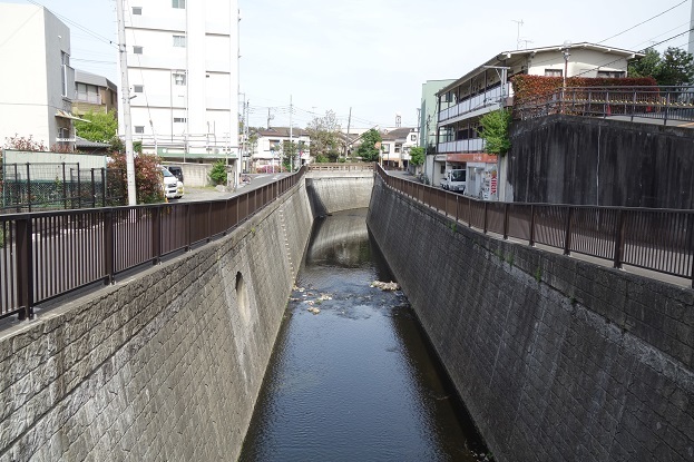 d0183387_19260763.jpg