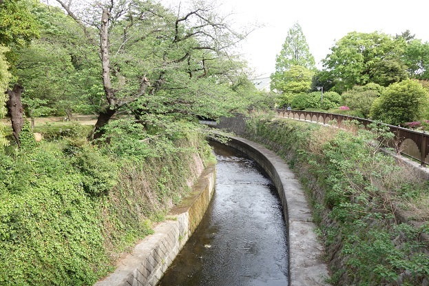 d0183387_23492077.jpg