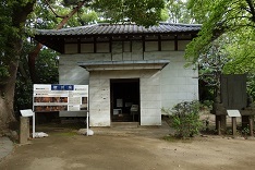 d0183387_23570982.jpg