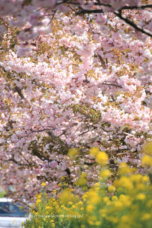 e0162089_10460033.jpg