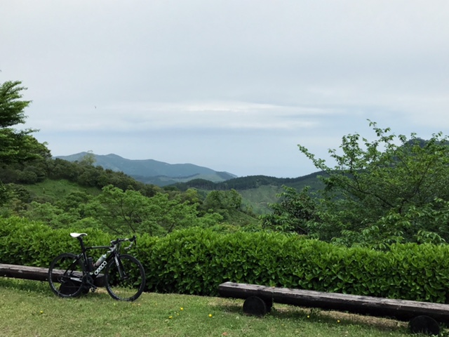c0184491_13182147.jpg