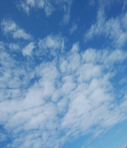 a0348193_16365169.jpg