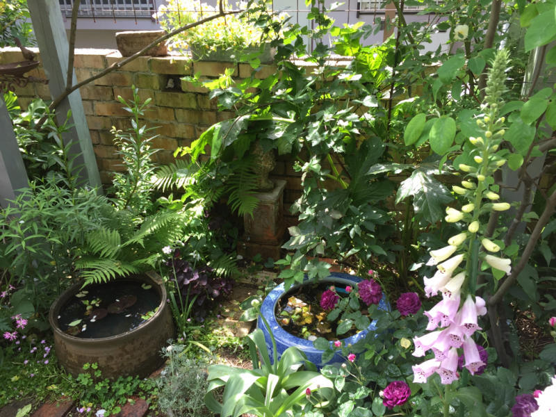 d0090298_11001240.jpg