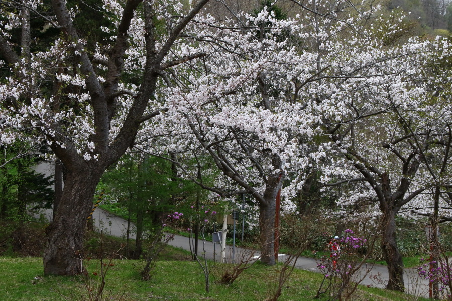 c0360399_21223226.jpg