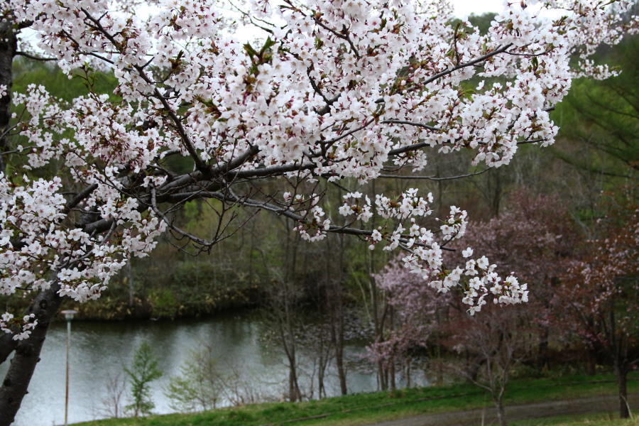 c0360399_21232919.jpg