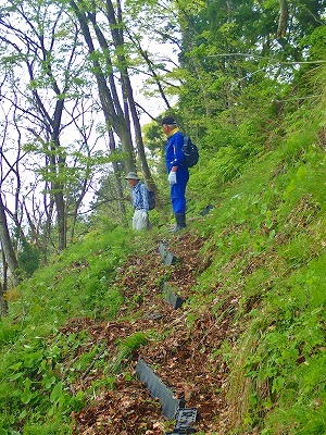 c0336902_20540743.jpg
