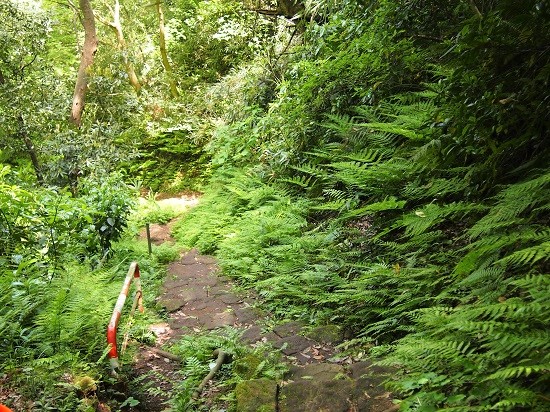 e0245404_20384938.jpg