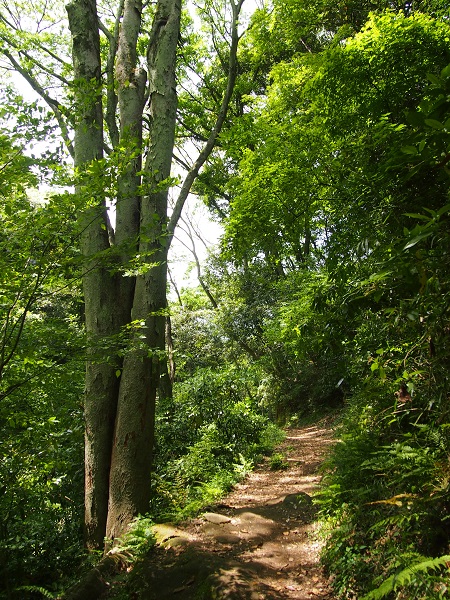 e0245404_20393852.jpg