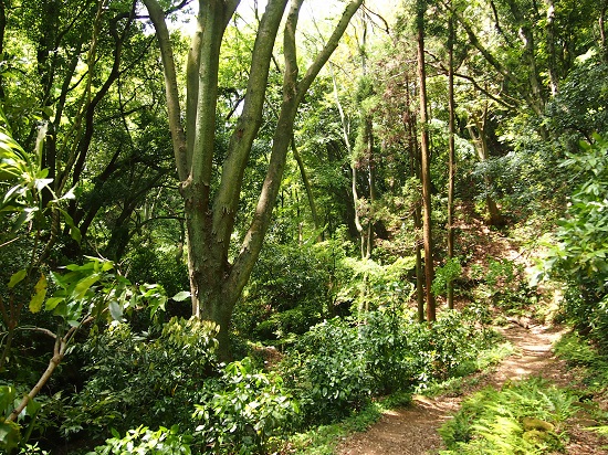 e0245404_20395096.jpg