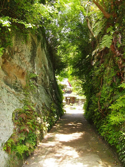 e0245404_20422613.jpg