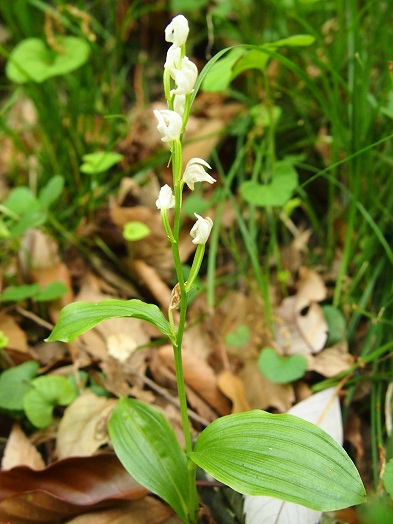 e0245404_2042698.jpg